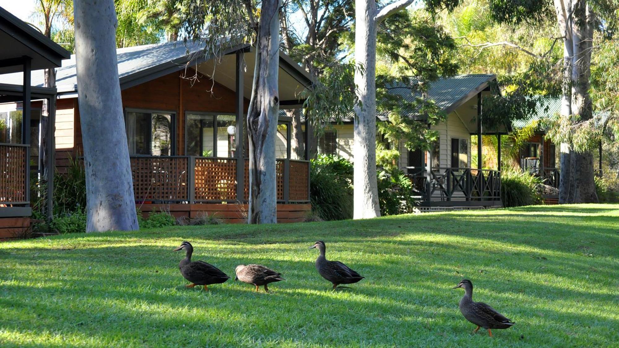 Marion Holiday Park Adelaide Buitenkant foto